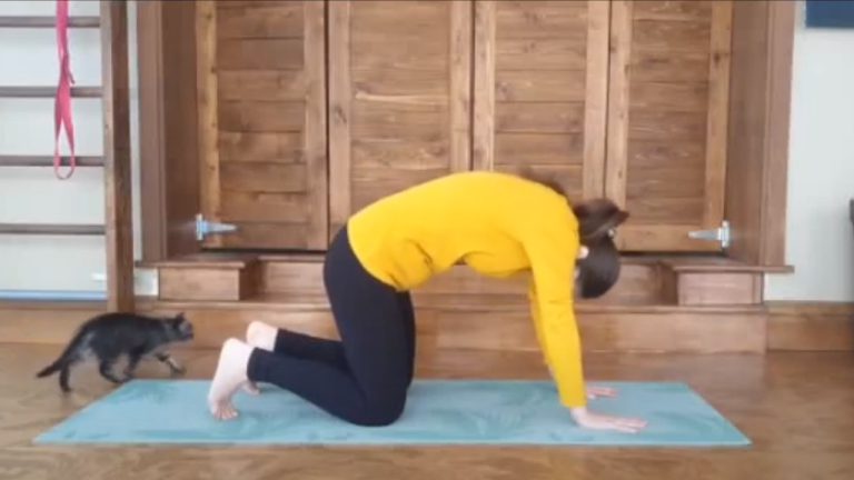 7 Benefits of Cat Cow Pose